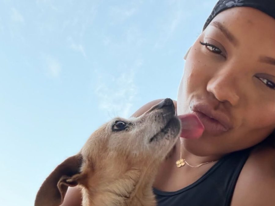 Ludmilla se despede de Manu, sua cachorrinha de 18 anos: “Buraco no peito”