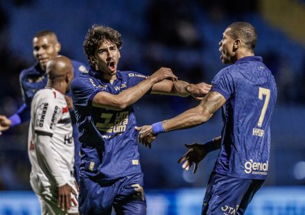 Avaí tem vantagem e goleadas contra Botafogo-SP; veja o histórico