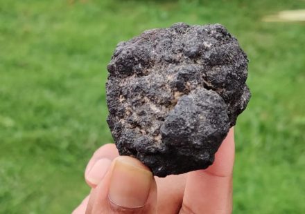 Brasil encontra novos indícios de minerais críticos no fundo do Atlântico