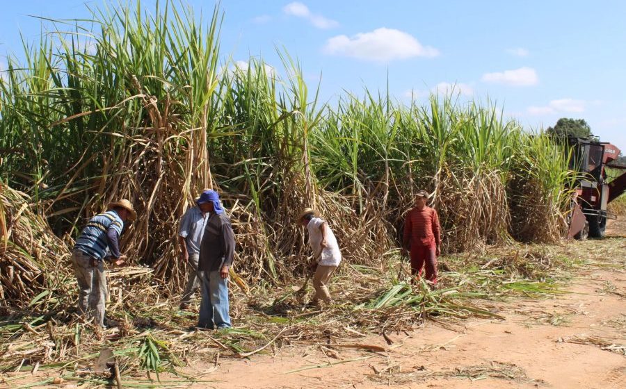 Câmara aprova projeto que prevê incentivos para a produção de cana no Nordeste