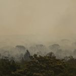 Força Nacional do SUS apoia atendimentos no Amazonas após incêndios