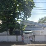 Infestação de pulgas muda local de votação de 3 mil eleitores no Rio