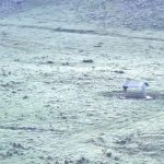 Massa de ar polar mantém frio no Sul e Sudeste; chuva volta a ganhar força nos próximos dias