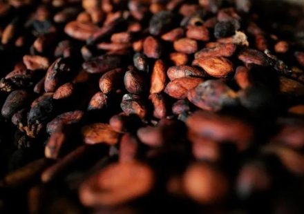 Preço do cacau recua para mínima de duas semanas na bolsa de Nova York